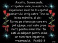 /album/ana/a524007-589533481098137-660770563-n-jpg/