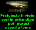 /album/ana/a969927-614435781935024-904312099-n-png/