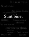 /album/ana/a1001031-464335260328693-2040082174-n-jpg/