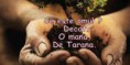 /album/ana/a1002309-589009047817247-770031010-n-jpg/
