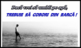 /album/ana/a1006005-585969411454544-1977342257-n-png/