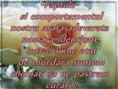 /album/ana/a1010963-571188152932670-137275143-n-jpg/