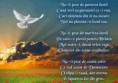 /album/ana/a1497370-661083503950640-733240427-n-jpg/