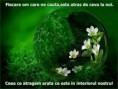/album/ana/a1613860-550883448354253-8876362603136397091-n-jpg/
