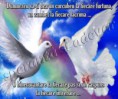 /album/ana/a10015644-420532898131779-3935079885125732797-n-jpg/