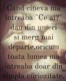 /album/ana/a10150653-621661867912256-4157547487586574523-n-jpg/