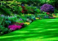 /album/ana/a10155536-548526591923272-4049248857575965183-n-jpg/