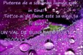 /album/ana/a10173537-550721335037131-6242795489398627942-n-jpg/