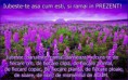 /album/ana/a10176227-550569805052284-4274335404268195816-n-jpg/