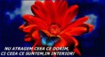 /album/ana/a10245343-548276995281565-5112391767860776999-n-jpg/