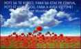 /album/ana/a10253983-550929915016273-9199840113233418803-n-jpg/