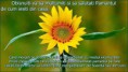 /album/ana/a10270745-550572351718696-6607373687522478100-n-jpg/