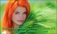 /album/ana/a10307226-550875628355035-8342687568642332161-n-jpg/