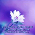/album/ana/a10322684-550872158355382-7218042299882168190-n-jpg/