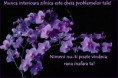 /album/ana/a10338275-548721961903735-3445152489840333716-n-jpg/