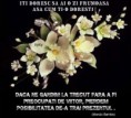 /album/ana/fl-boucket-orchid-1-1-2-1-jpg/